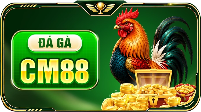 ĐÁ GÀ CM88